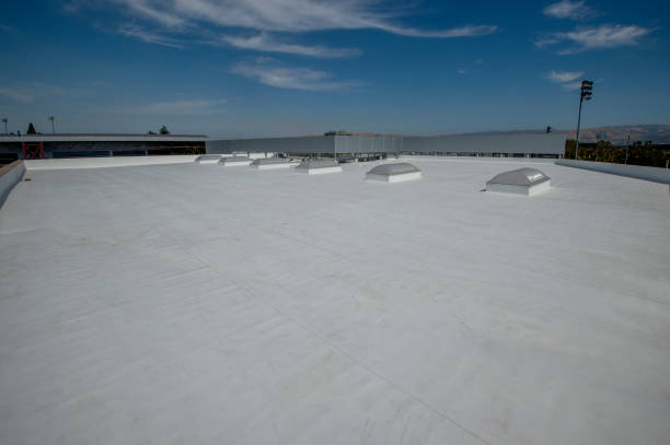 Best Solar Panel Roofing Installation  in River Falls, WI